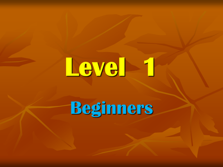 Level 1 beginners